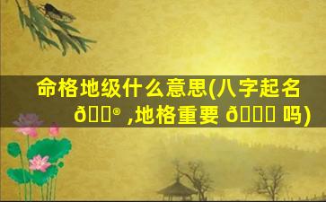 命格地级什么意思(八字起名 💮 ,地格重要 🍁 吗)